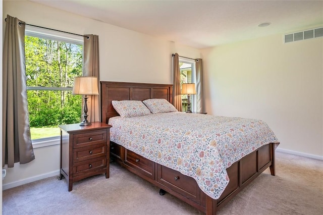 1401 Mountain Laurel Ln, Ontario, NY 14519 - bedroom with light colored carpet, multiple windows, and baseboards