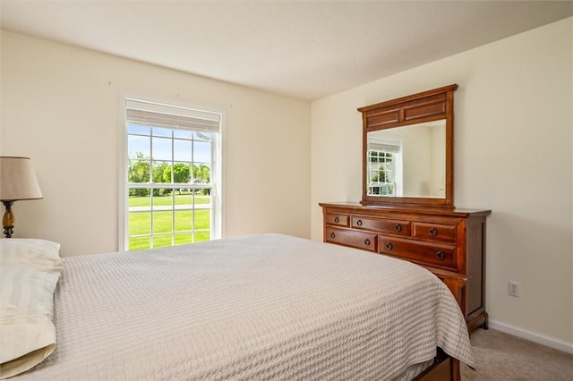 1401 Mountain Laurel Ln, Ontario, NY 14519 - bedroom with carpet floors and baseboards