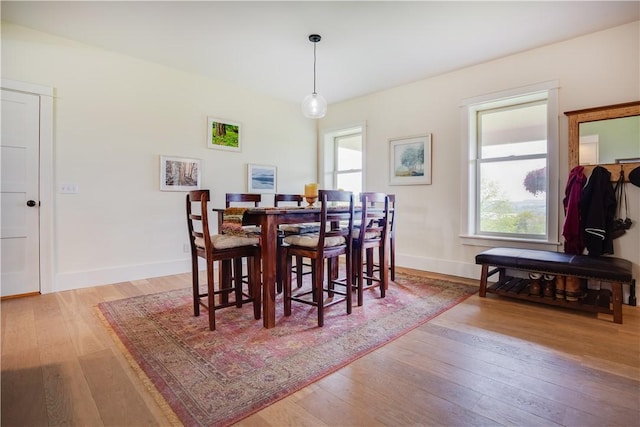 160 Reiss Rd, Otsego, NY 13326 - dining area featuring wood-type flooring and baseboards