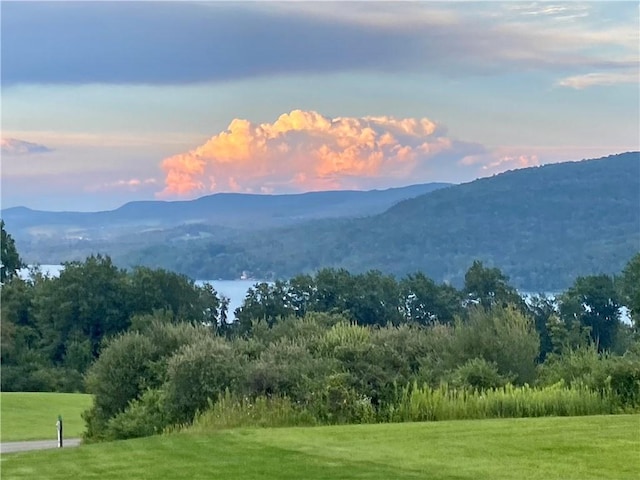 160 Reiss Rd, Otsego, NY 13326 - mountain view