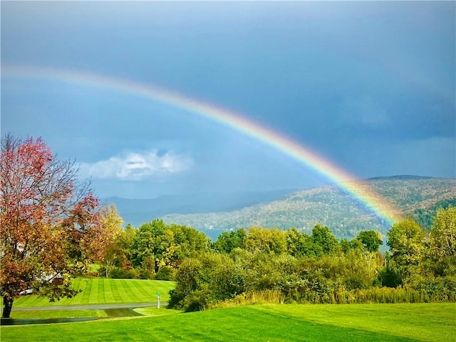 160 Reiss Rd, Otsego, NY 13326 - view of community with a lawn and a mountain view