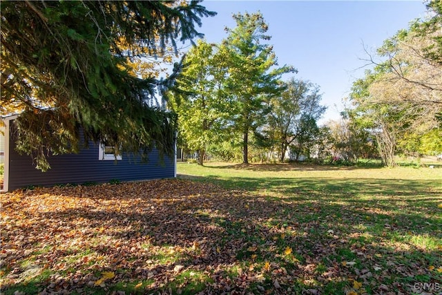 118 Leray St, Le Ray, NY 13612 - view of grassy yard