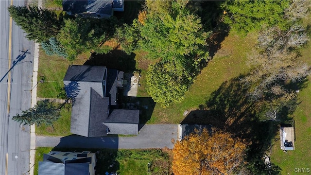118 Leray St, Le Ray, NY 13612 - aerial view of property's location