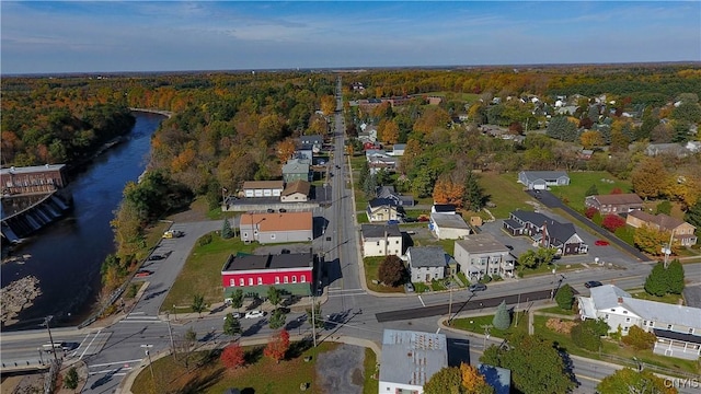 118 Leray St, Le Ray, NY 13612 - aerial overview of property's location with a large body of water, a forest, and nearby suburban area