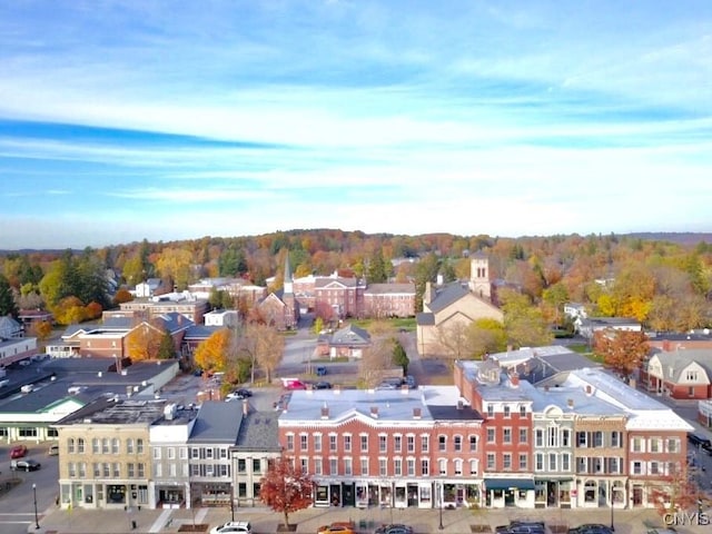 26 Farnham St, Cazenovia, NY 13035 - aerial perspective of suburban area
