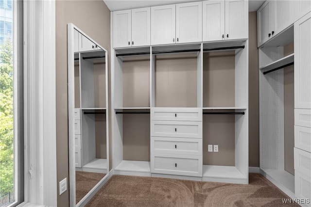 13 Ojibwa Cir, Buffalo, NY 14202 - walk in closet featuring carpet flooring
