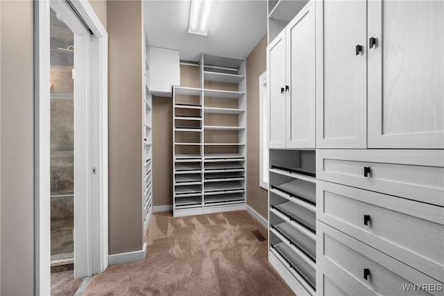 13 Ojibwa Cir, Buffalo, NY 14202 - spacious closet featuring carpet