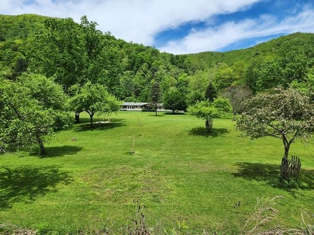 3483 First Fork Rd, Grove Twp, PA 15861 - view of grassy yard with a forest view