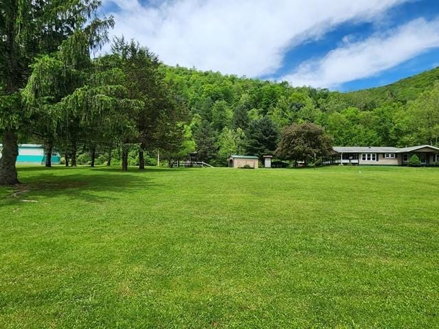 3483 First Fork Rd, Grove Twp, PA 15861 - view of grassy yard featuring a view of trees