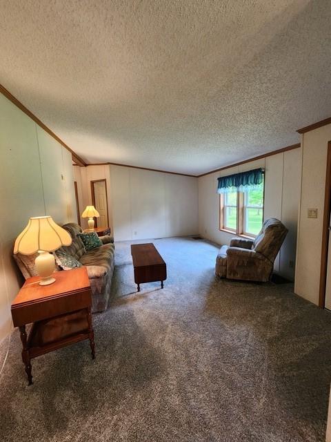 3483 First Fork Rd, Grove Twp, PA 15861 - carpeted living room with crown molding and a textured ceiling