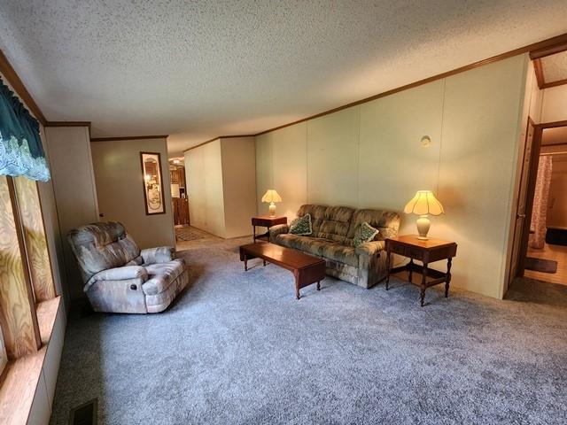 3483 First Fork Rd, Grove Twp, PA 15861 - carpeted living area featuring crown molding, a textured ceiling, and a decorative wall