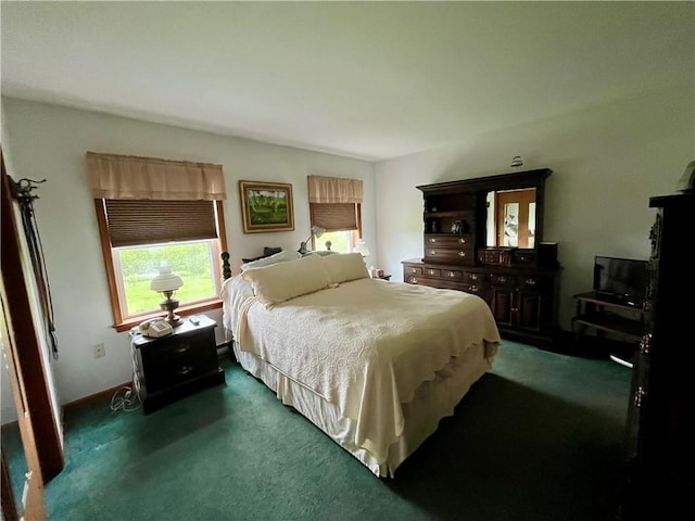 8255 County Highway 2, Andes, NY 13731 - bedroom featuring dark colored carpet
