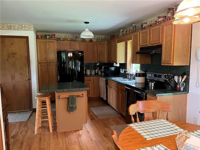 8255 County Highway 2, Andes, NY 13731 - kitchen featuring freestanding refrigerator, electric stove, under cabinet range hood, a sink, and light wood-type flooring