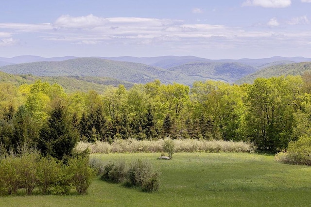 8255 County Highway 2, Andes, NY 13731 - mountain view with a heavily wooded area