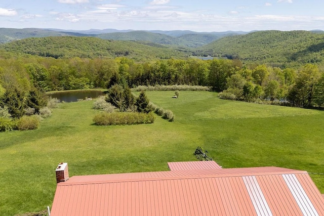 8255 County Highway 2, Andes, NY 13731 - mountain view featuring a large body of water