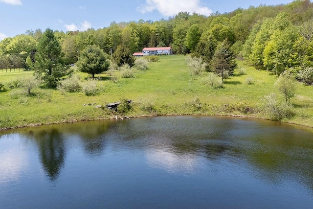 8255 County Highway 2, Andes, NY 13731 - water view featuring a heavily wooded area