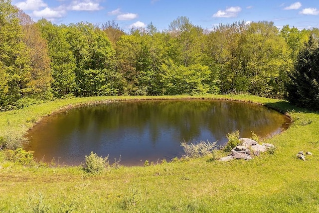 8255 County Highway 2, Andes, NY 13731 - water view with a forest