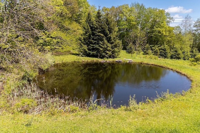 8255 County Highway 2, Andes, NY 13731 - water view with a forest