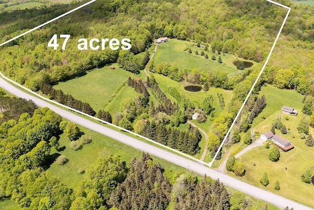 8255 County Highway 2, Andes, NY 13731 - aerial overview of property's location featuring a heavily wooded area and property parcel outlined