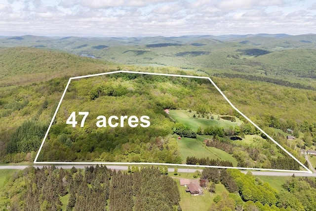 8255 County Highway 2, Andes, NY 13731 - aerial overview of property's location with property parcel outlined, a forest, and a mountainous background