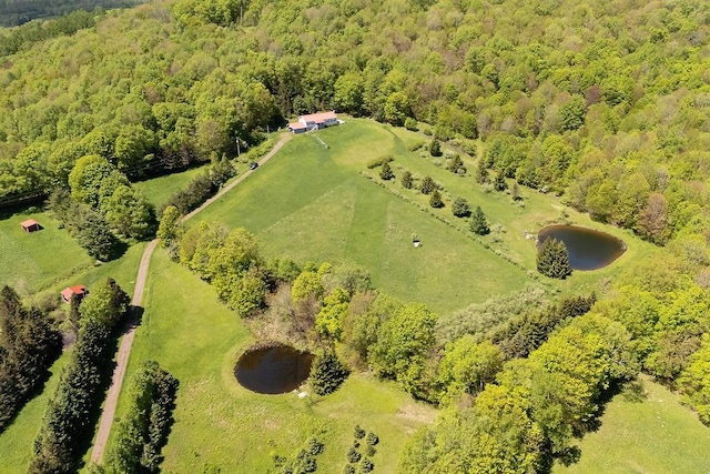 8255 County Highway 2, Andes, NY 13731 - bird's eye view of a forest and a nearby body of water
