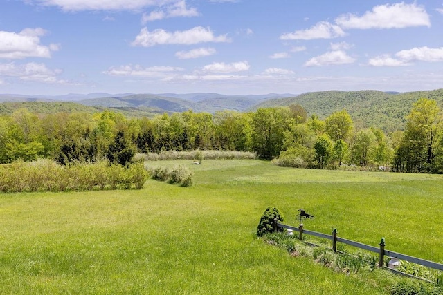 8255 County Highway 2, Andes, NY 13731 - mountain view with rural landscape and a forest