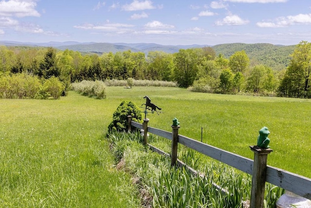 8255 County Highway 2, Andes, NY 13731 - view of yard with a mountain view and a forest view
