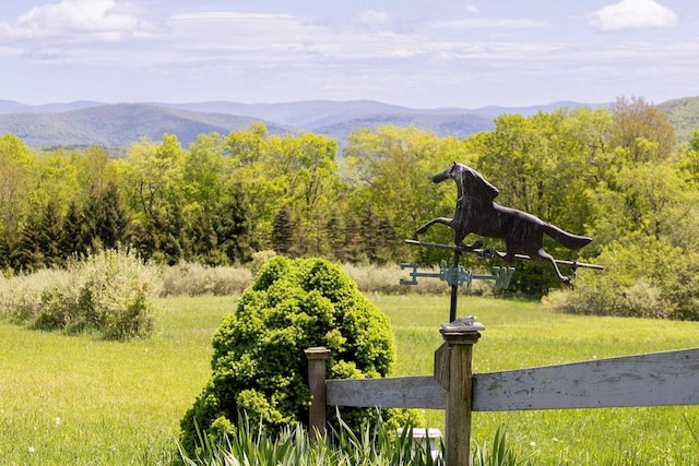 8255 County Highway 2, Andes, NY 13731 - view of mountain background featuring a heavily wooded area