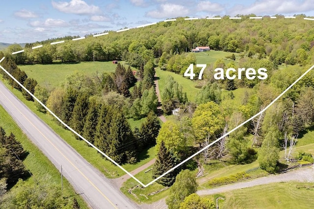 8255 County Highway 2, Andes, NY 13731 - view of property location featuring property boundaries highlighted and a forest