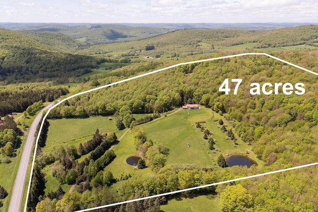 8255 County Highway 2, Andes, NY 13731 - aerial view of property's location featuring a forest and property boundaries highlighted