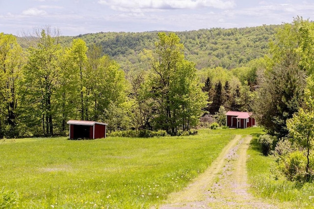 8255 County Highway 2, Andes, NY 13731 - view of yard with a view of trees, an outbuilding, and dirt driveway