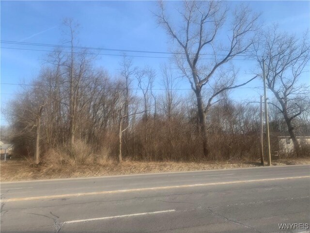 10669 Erie Rd, Brant, NY 14027