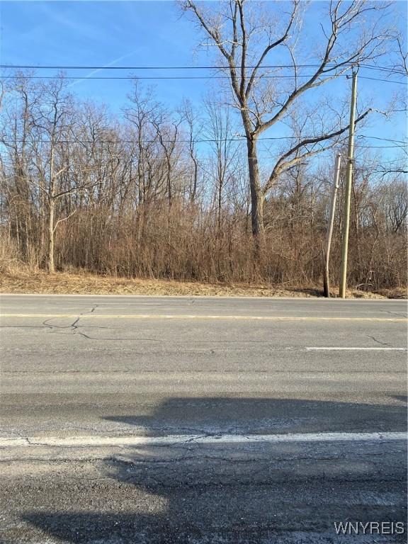10669 Erie Rd, Brant, NY 14027