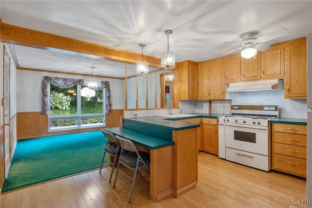 112 Vanida Dr, Camillus, NY 13031 - kitchen with white gas range oven, under cabinet range hood, a sink, light wood-style flooring, and dark countertops