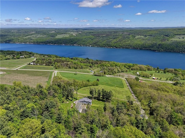 8763 Greyton H Taylor Memorial Dr, Urbana, NY 14840 - aerial view of sparsely populated area with a nearby body of water and a forest