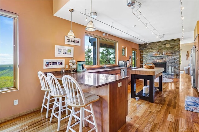 8763 Greyton H Taylor Memorial Dr, Urbana, NY 14840 - bar area with a sink, rail lighting, wood finished floors, and healthy amount of natural light