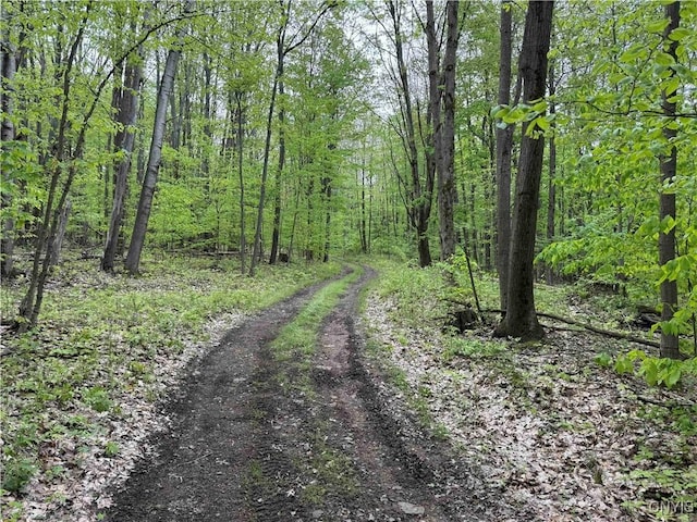 Jordan Hill Rd, Clarksville, NY 14715 - photo 1
