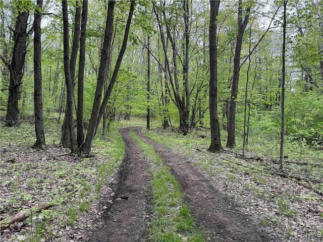 Jordan Hill Rd, Clarksville, NY 14715 - photo 4