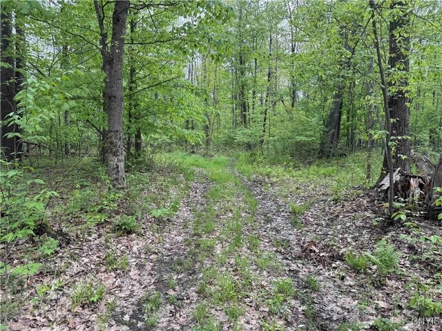 Jordan Hill Rd, Clarksville, NY 14715 - photo 9