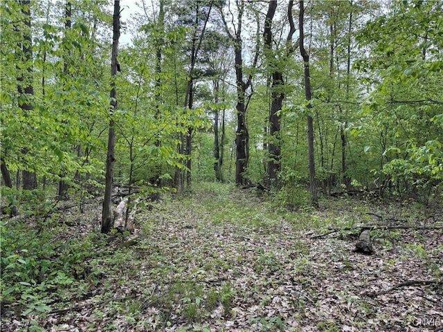 Jordan Hill Rd, Clarksville, NY 14715 - photo 11
