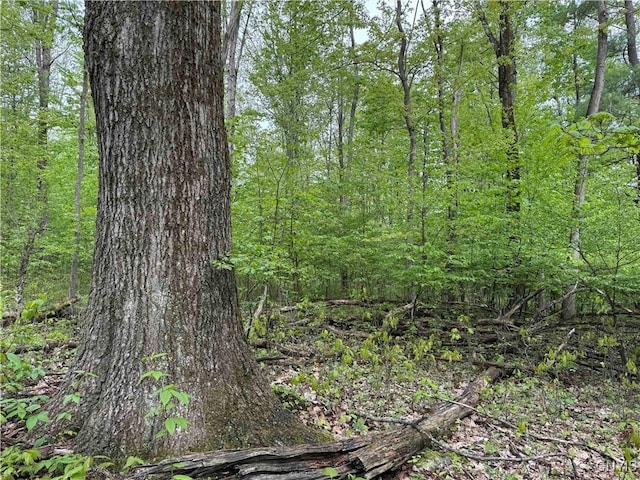 Jordan Hill Rd, Clarksville, NY 14715 - photo 12