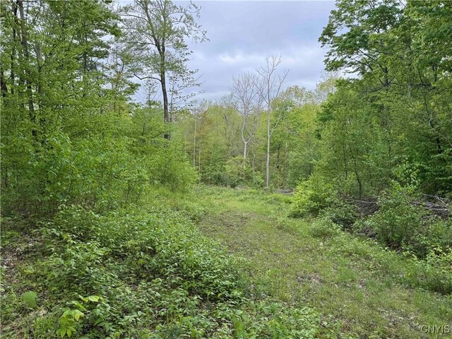 Jordan Hill Rd, Clarksville, NY 14715 - photo 14