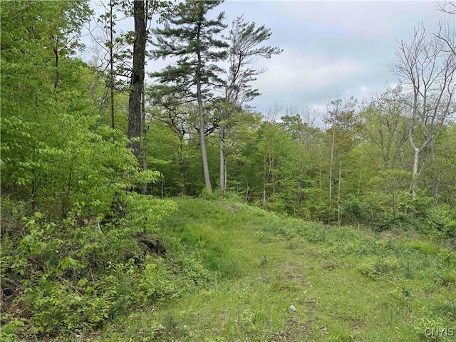 Jordan Hill Rd, Clarksville, NY 14715 - photo 15