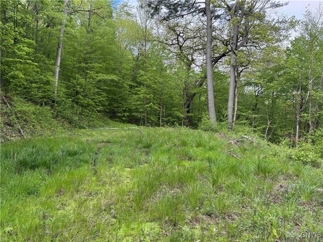 Jordan Hill Rd, Clarksville, NY 14715 - photo 16