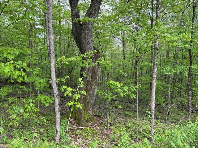 Jordan Hill Rd, Clarksville, NY 14715 - photo 17