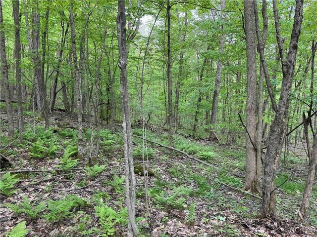 Jordan Hill Rd, Clarksville, NY 14715 - photo 18