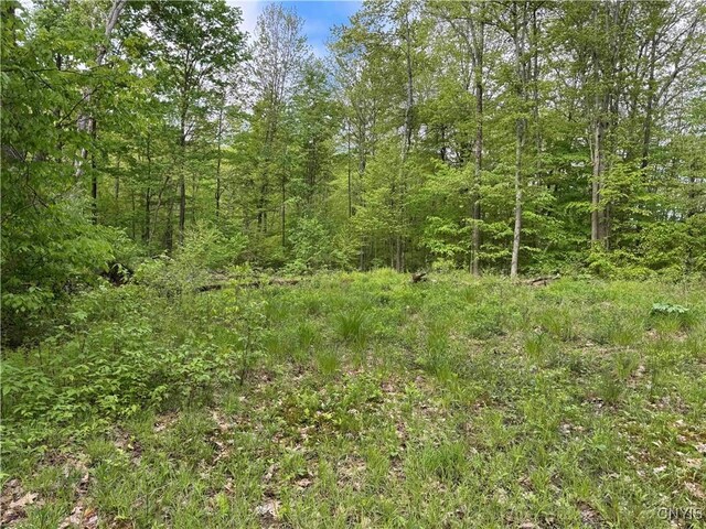 Jordan Hill Rd, Clarksville, NY 14715 - photo 23