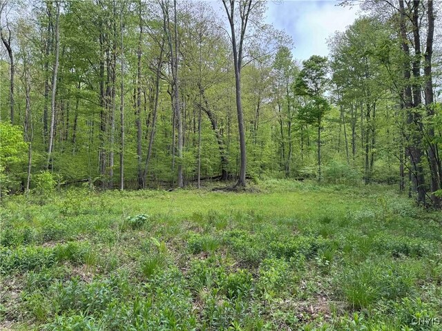 Jordan Hill Rd, Clarksville, NY 14715 - photo 24