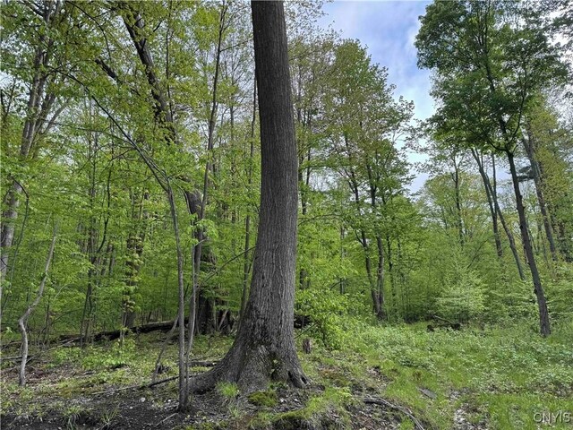 Jordan Hill Rd, Clarksville, NY 14715 - photo 25