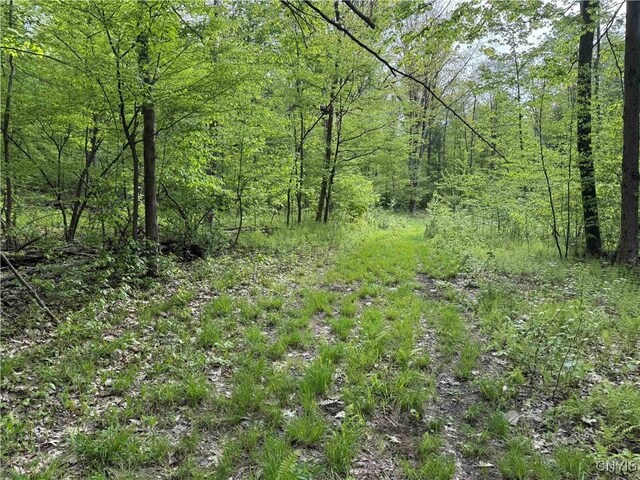 Jordan Hill Rd, Clarksville, NY 14715 - photo 27
